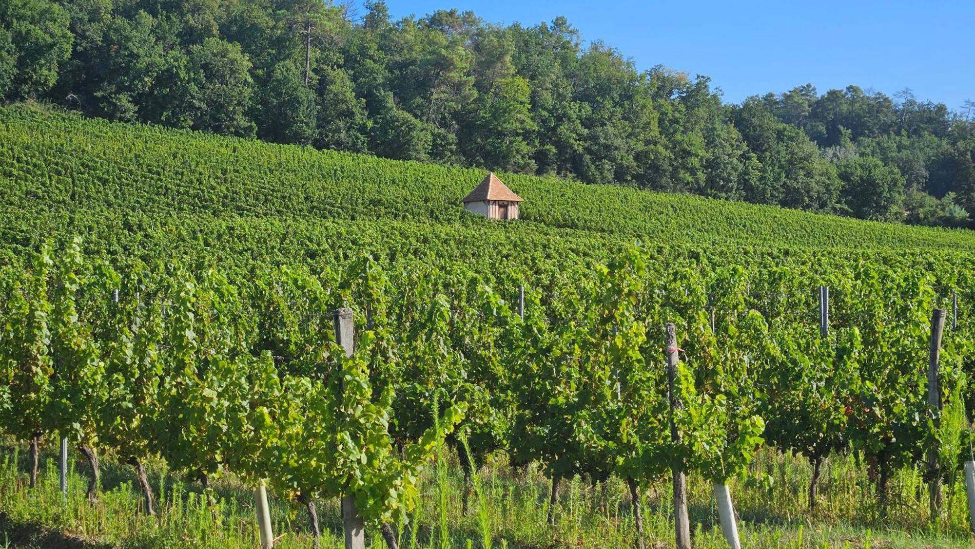 Chambres Et Gites Les Deux Chenes Pres De Bergerac Le Fleix Esterno foto