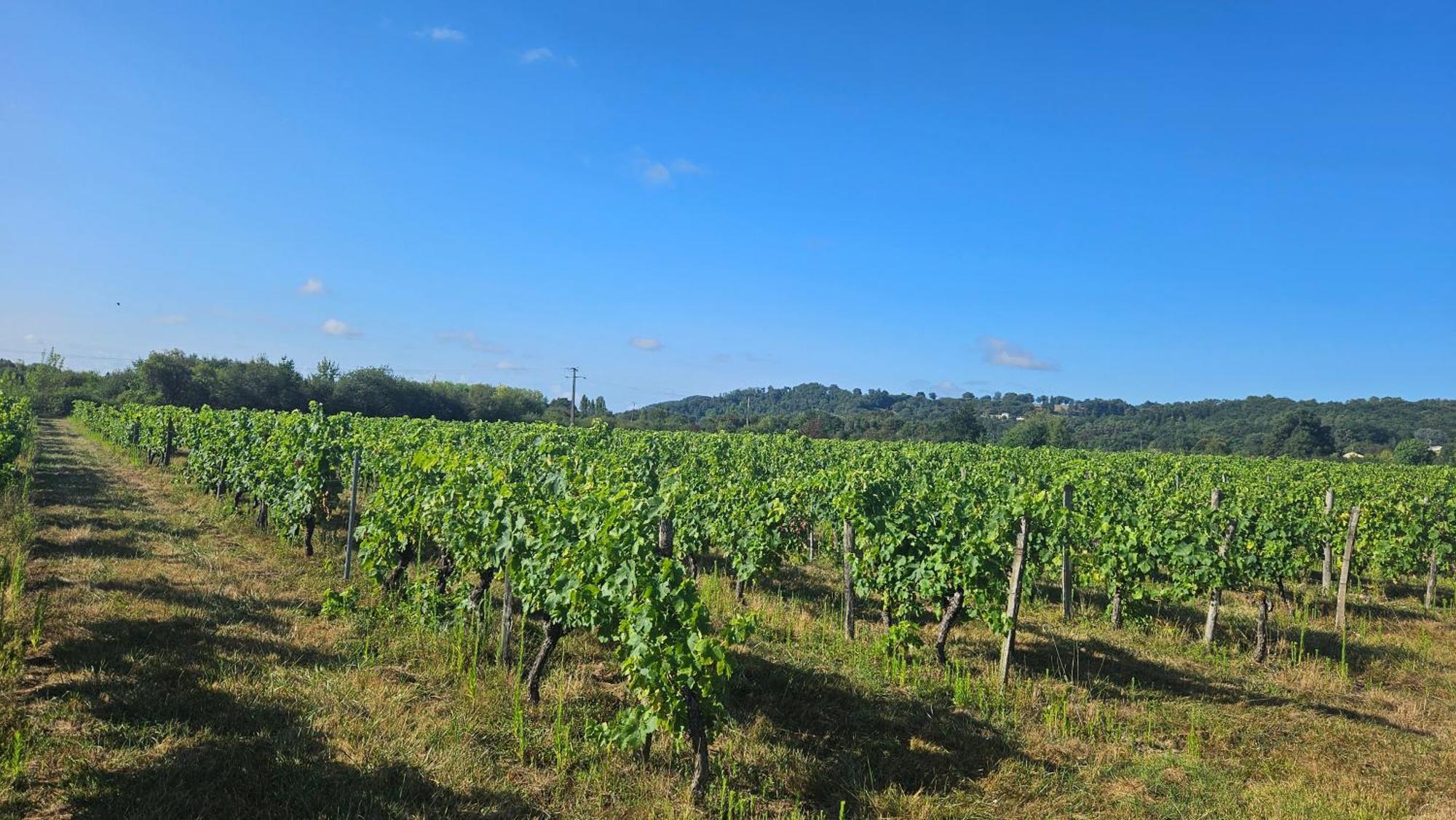 Chambres Et Gites Les Deux Chenes Pres De Bergerac Le Fleix Esterno foto